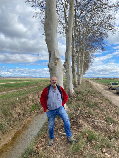 Vista des de Tiurana del pantà de Rialb, al Segre, que acumula més aigua que fa un any.