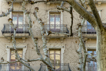 Casa Florensa, Lleida