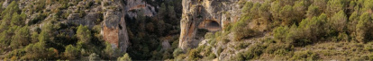 Prehistòria