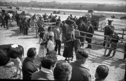 Un momento del rodaje en el antiguo mercado de Pardinyes.