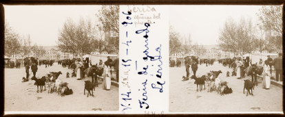Mercat d'animals a l’accés al pont Vell, a l’actual plaça les Bores, de Lleida.