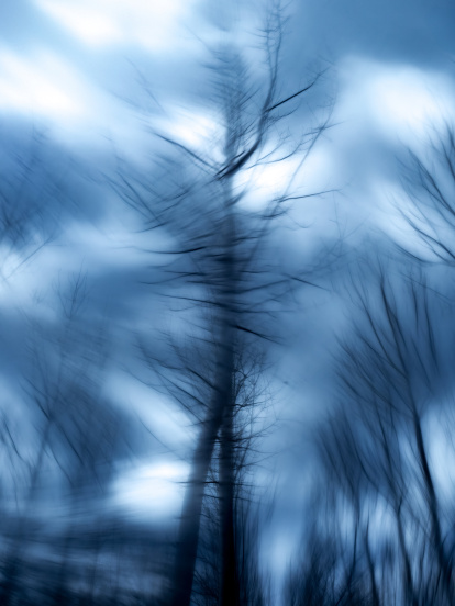 Sensacions. Sarrat també pretén plasmar els efectes que el canvi de les estacions provoquen a l’entorn