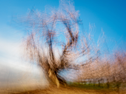 Influència. L’artista va participar en un taller de tècnica pictòrica que el va inspirar per crear aquest projecte fotogràfic