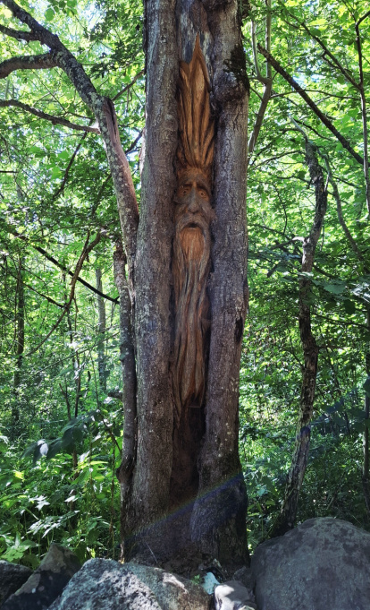 Un árbol encantado en el Camino de la Bruja.