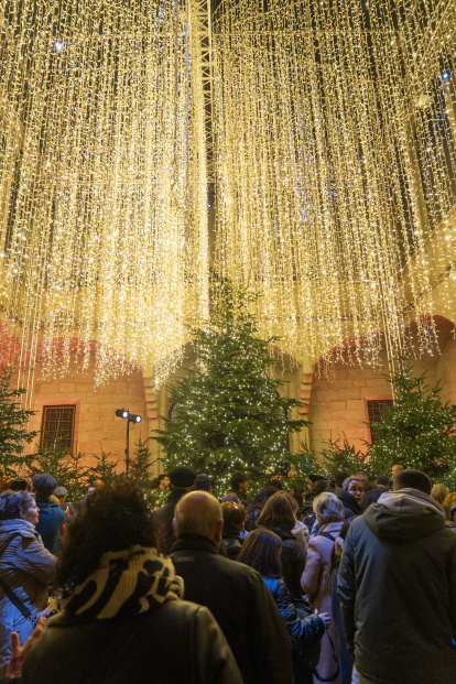 El bosc de llum de l’IEI de Lleida.