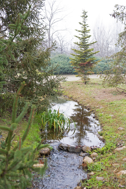 Resiliència d'hivern: arborètum Lleida