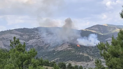 El foc de Gurp es va declarar en una zona de difícil accés.
