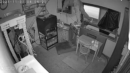 GIF del robatori a Aitona.